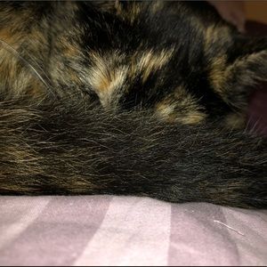 Meet your Posher, Irisa